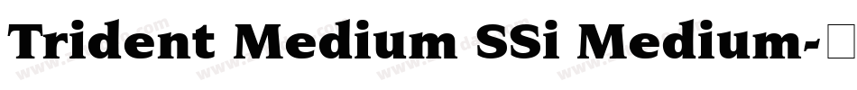Trident Medium SSi Medium字体转换